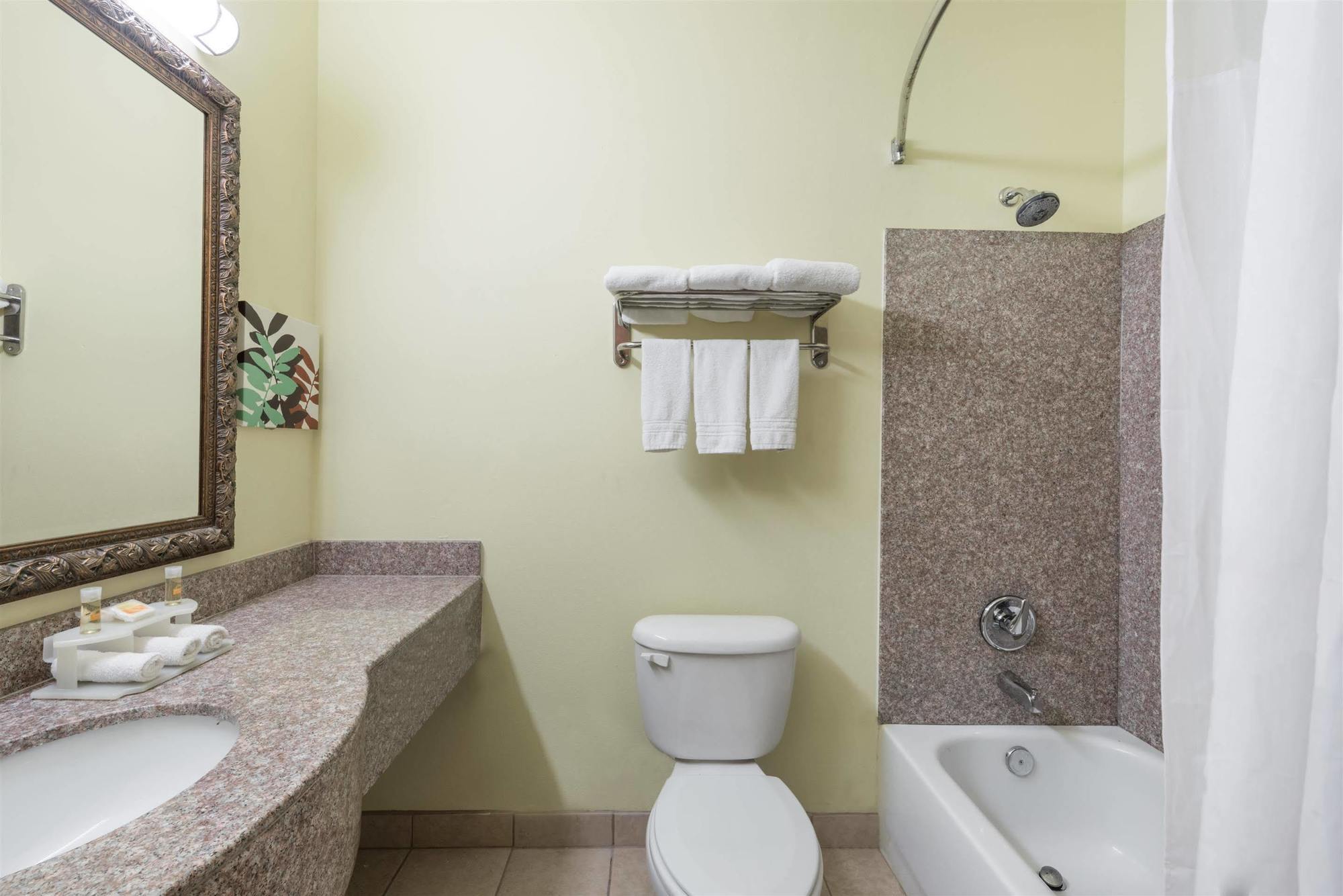 Hotel Days Inn&suites By Wyndham Tx 2*